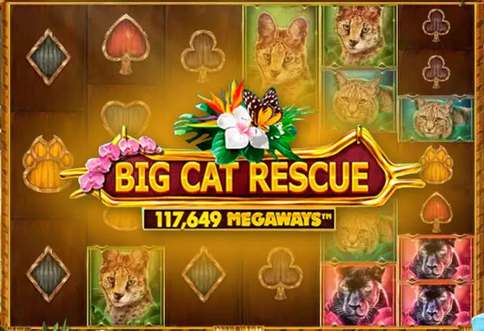 Découvrez l'ambiance excitante du Bonus Gunsbet Casino.